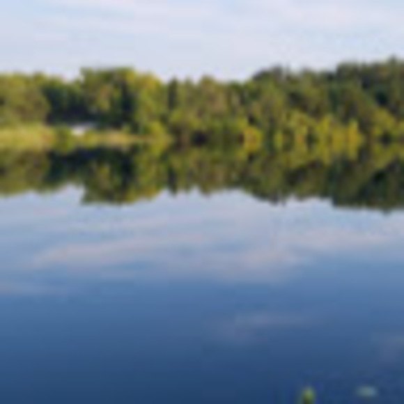 Meet your Posher, Allison - Picture 1 of 1